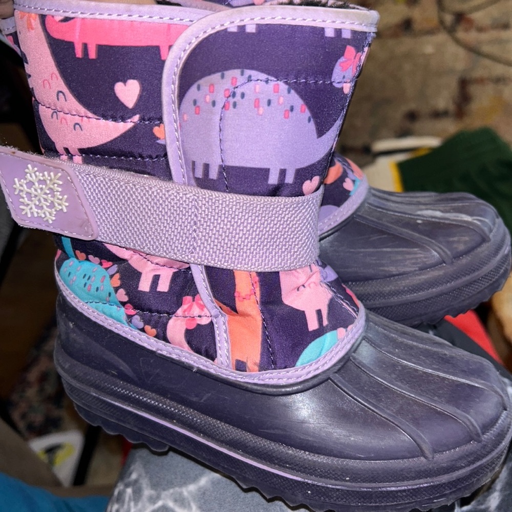 Dinosaur snowboard - size 10